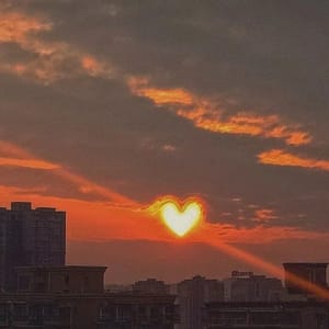 Ảnh đại diện Aditi